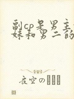 副cp是男主妹妹和男二的小说