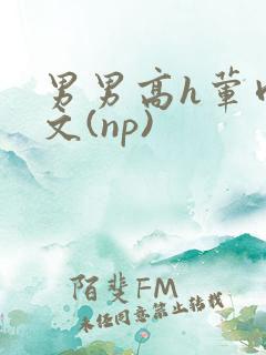 男男高h荤肉欲文(np)