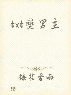 txt双男主