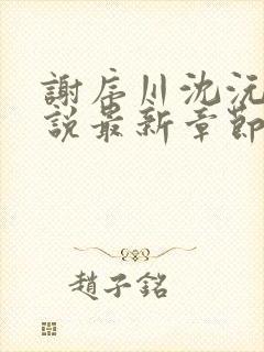 谢序川沈沅珠小说最新章节免费阅读