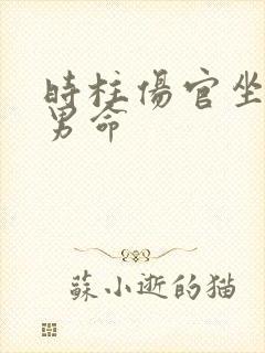 时柱伤官坐正财男命