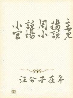 小说周扬主角的官场小说免费阅读