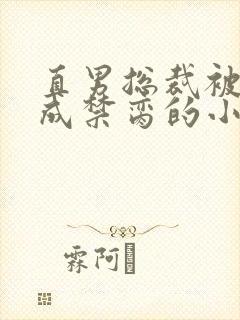 直男总裁被调教成禁脔的小说