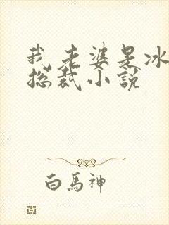 我老婆是冰山女总裁小说