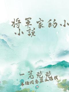 将军家的小娘子 小说