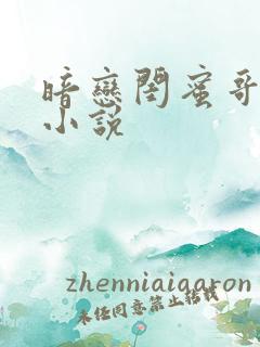 暗恋闺蜜哥哥的小说