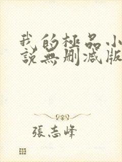 我的极品小姨小说无删减版