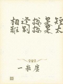 相逢总是短暂,离别总是太快的句子