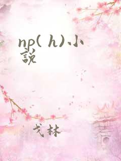 np( h)小说