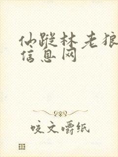 仙踪林老狼金属信息网