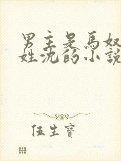 男主是马奴女主姓沈的小说