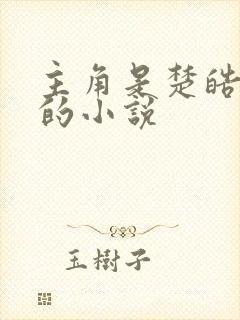 主角是楚皓苏念的小说