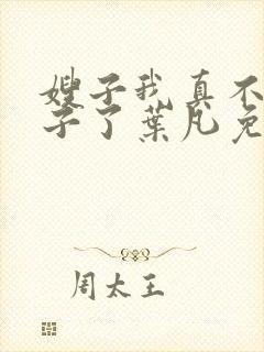 嫂子我真不是傻子了叶凡免费全本大结局