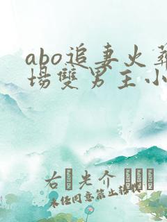 abo追妻火葬场双男主小说