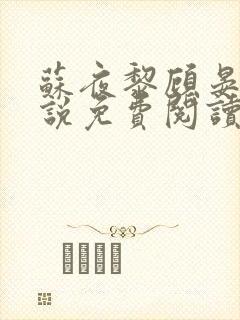 苏夜黎顾晏沉小说免费阅读