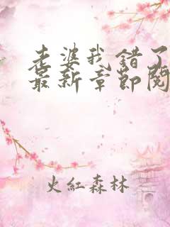 老婆我错了小说最新章节阅读全文