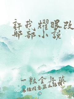 许我耀眼改编自哪部小说