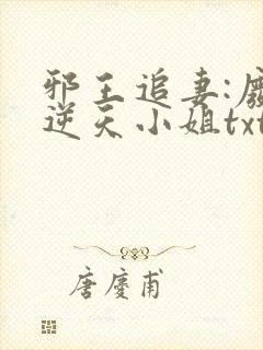 邪王追妻:废材逆天小姐txt