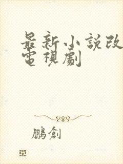 最新小说改编的电视剧