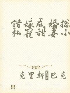 错嫁成婚总裁的私宠甜妻小说完整版