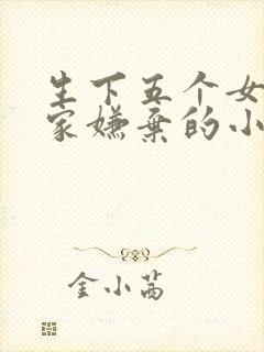 生下五个女儿夫家嫌弃的小说