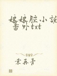 娘娘腔小说完整 番外txt