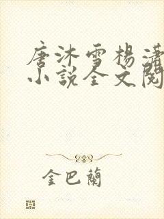 唐沐雪杨潇免费小说全文阅读