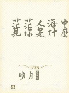 茫茫人海中我遇见你是什么歌