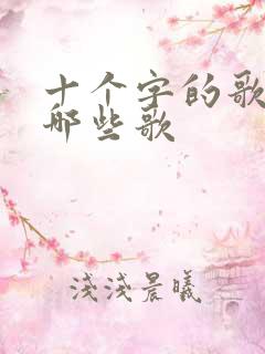 十个字的歌名有哪些歌