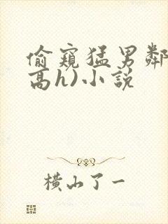 偷窥猛男邻居(高h)小说