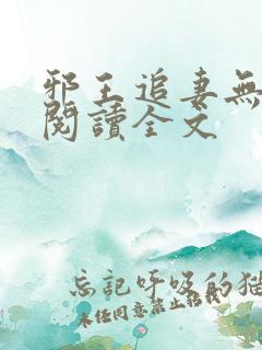 邪王追妻无删减阅读全文