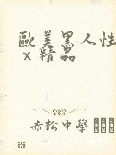 欧美黑人性xxⅹ精品