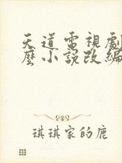 天道电视剧是什么小说改编的