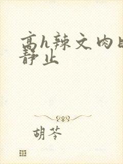 高h辣文肉时间静止