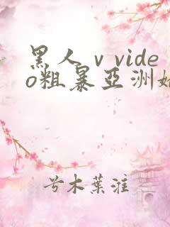 黑人ⅴvideo粗暴亚洲娇小