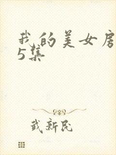 我的美女房东45集