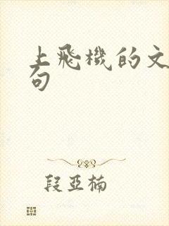 上飞机的文案短句