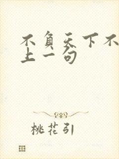 不负天下不负卿上一句