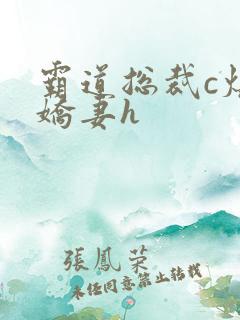 霸道总裁c爆小娇妻h