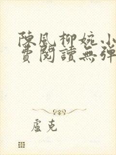 陈风柳婉小说免费阅读无弹窗