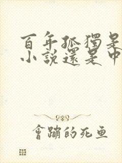 百年孤独是长篇小说还是中篇小说