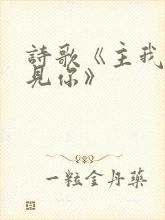 诗歌《主我要遇见你》