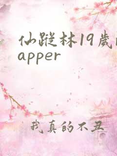 仙踪林19岁rapper