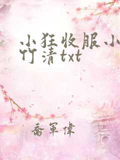 小狂收服小舞朱竹清txt