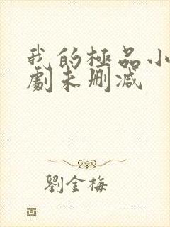 我的极品小姨短剧未删减