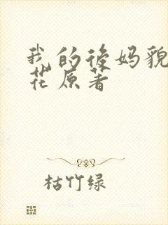 我的后妈貌美如花原著