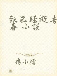 致已经逝去的青春 小说