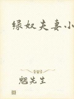 绿奴夫妻小说