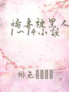 娇妻被黑人伦轩1～14小说