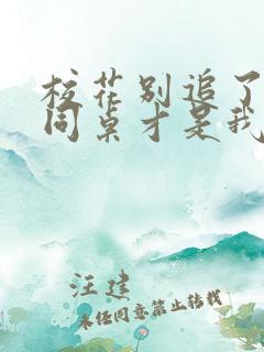 校花别追了高冷同桌才是我的txt